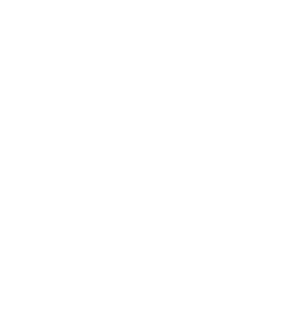 Bläckfisch Inc